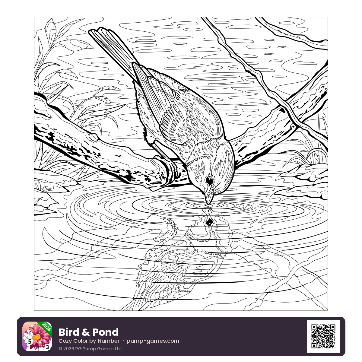 Bird & Pond preview