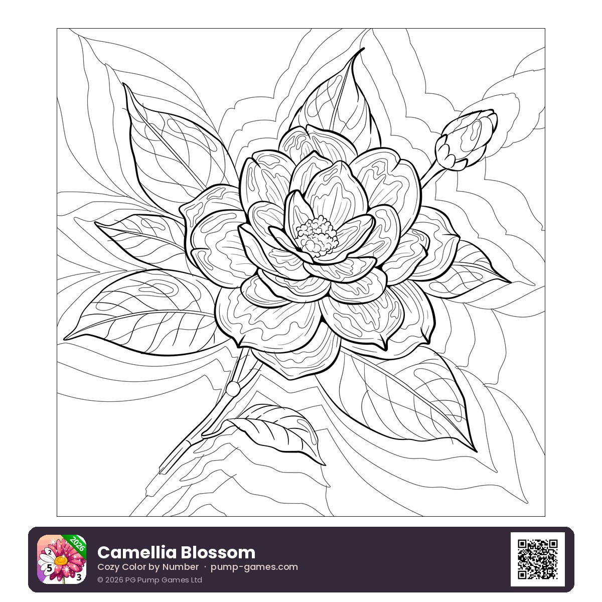 Camellia Blossom preview