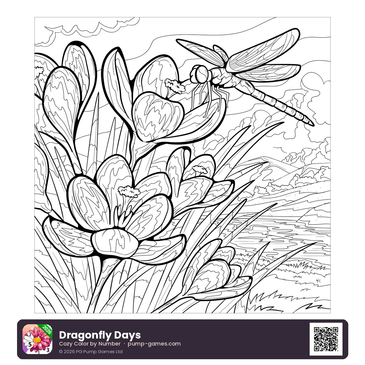Dragonfly Days — free printable dragonfly over garden flowers coloring page featuring a dragonfly hovering above a garden of blooming flowers
